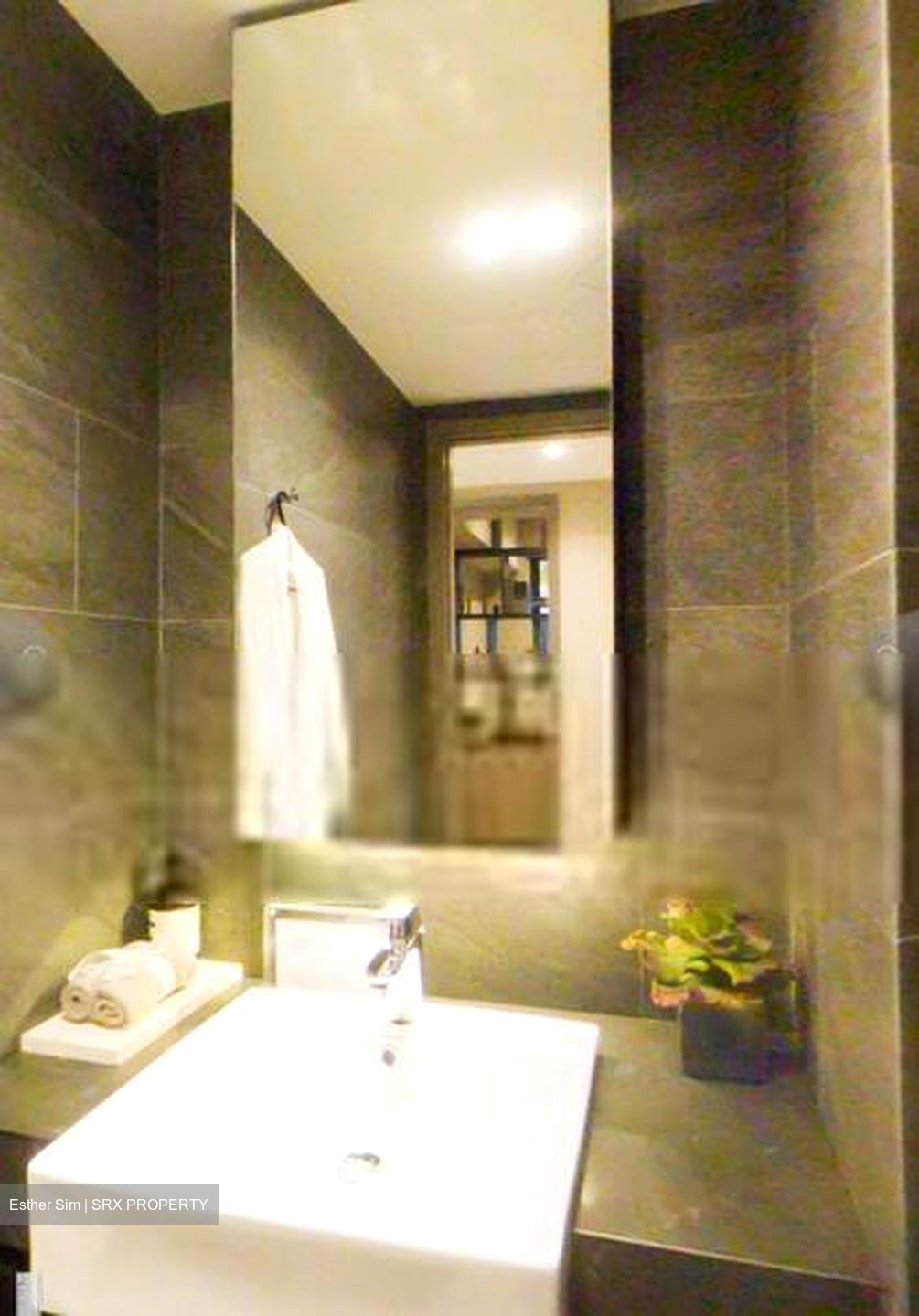 Affinity At Serangoon (D19), Apartment #570229321